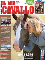 Il mio Cavallo